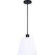 Aspen 2 Light 15.5 inch Black Pendant Ceiling Light