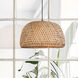 Sariel 1 Light 18 inch Black Pendant Ceiling Light