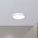 Canarm LED 11 inch White Disc Light