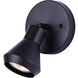 Byck 1 Light 5 inch Black Ceiling/Wall Light Ceiling Light