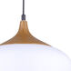 Madison 1 Light 12 inch White Pendant Ceiling Light