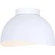 Henlee 2 Light 11.00 inch Flush Mount