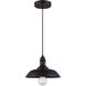 Madison 1 Light 10 inch Oil Rubbed Bronze Pendant Ceiling Light