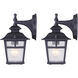 Madison 1 Light 11 inch Black Outdoor Downlight