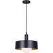 Daylon 1 Light 12.63 inch Matte Black Pendant Ceiling Light