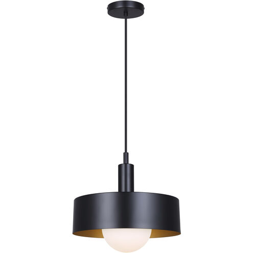 Daylon 1 Light 12.63 inch Matte Black Pendant Ceiling Light