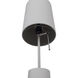 Flint 23 inch 60.00 watt Grey Table Lamp Portable Light