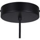 Kelvin LED 15.63 inch Black/Gold Pendant Ceiling Light in Black And Gold
