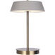 Jessa 14 inch 16.00 watt Gold Table Lamp Portable Light in Gray Metal