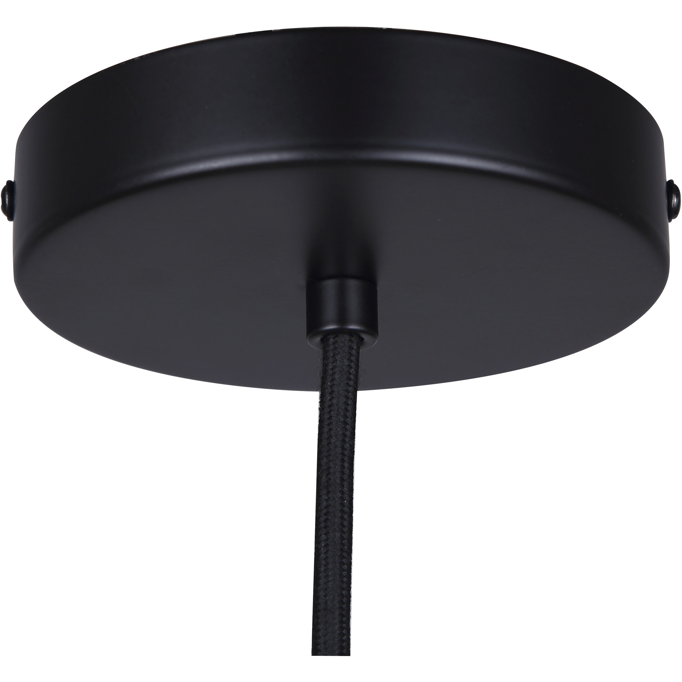 Halsey 1 Light 9.75 inch Black Pendant Ceiling Light