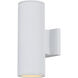 Rexton 2 Light 11.75 inch White Outdoor Wall Lantern