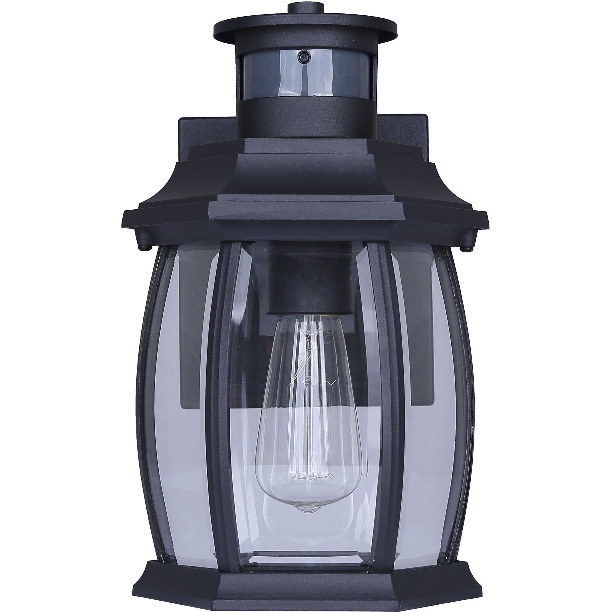 Buckly 1 Light 10.25 inch Black Outdoor Wall Lantern