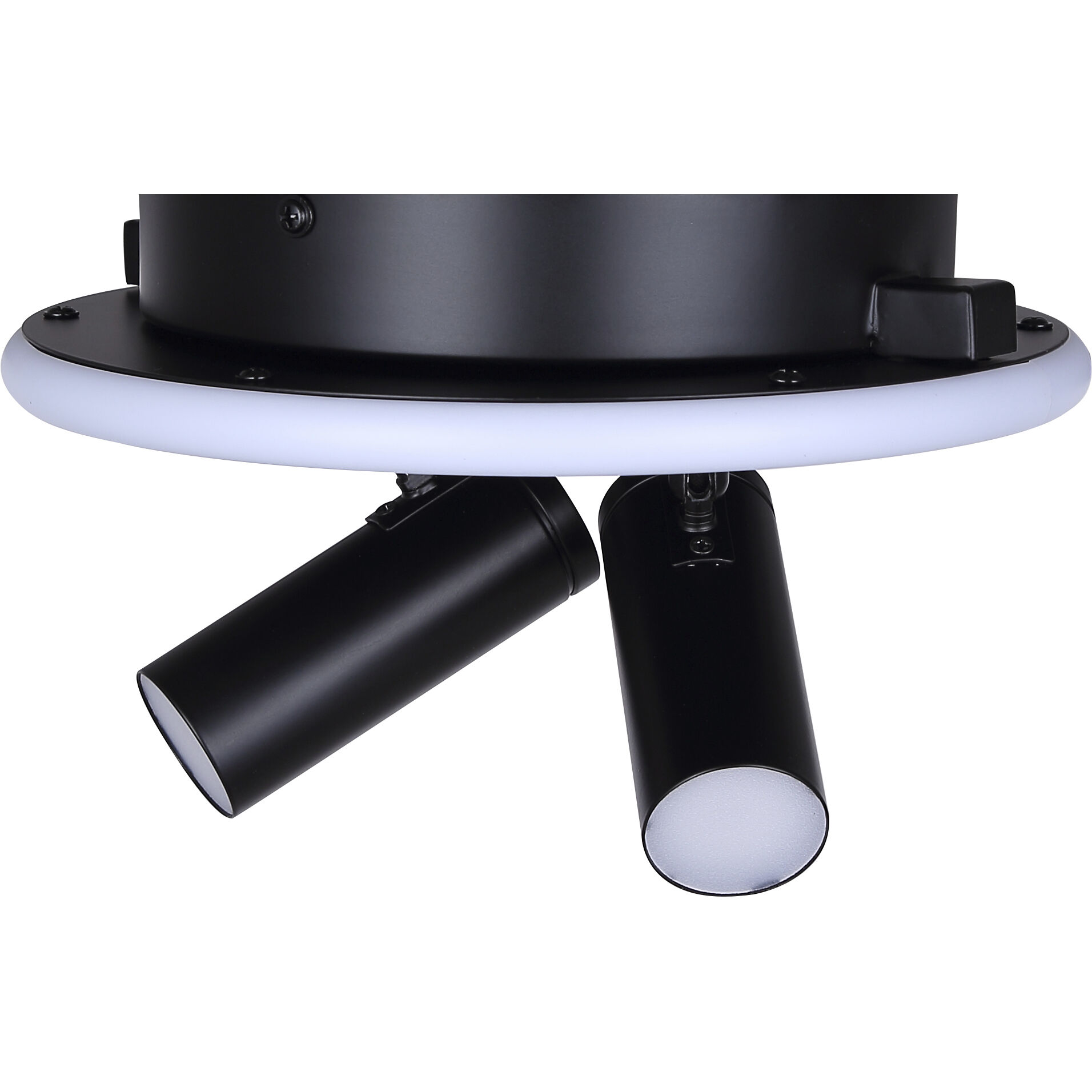 Denver Black Track Lighting Ceiling Light