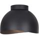 Henlee 2 Light 11 inch Black Flush Mount Ceiling Light