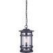 Madison 1 Light 10 inch Black Outdoor Pendant