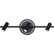 Denver Black Track Lighting Ceiling Light