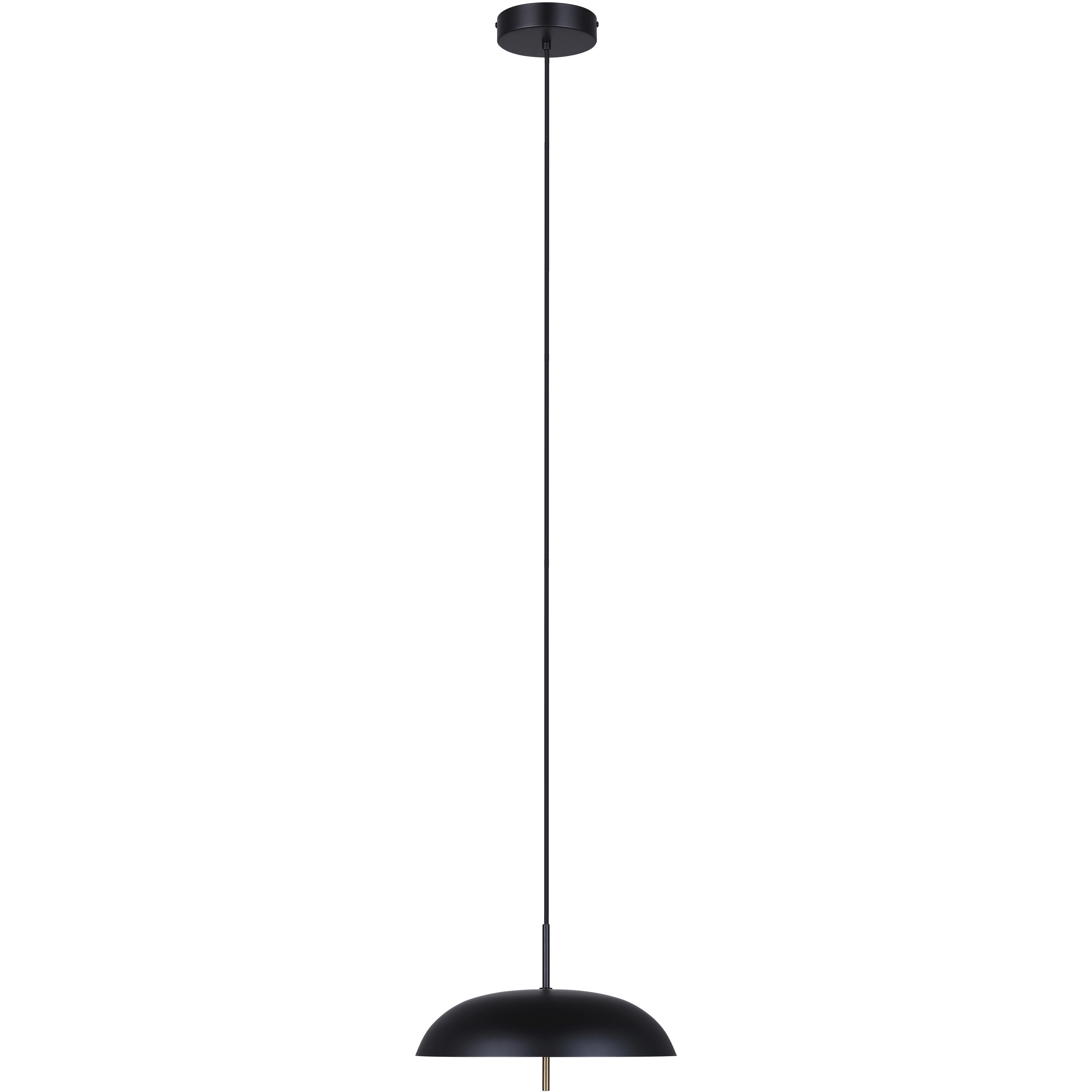 Kelvin LED 15.63 inch Black/Gold Pendant Ceiling Light in Black And Gold