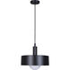 Daylon 1 Light 12.63 inch Matte Black Pendant Ceiling Light