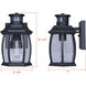 Buckly 1 Light 10.25 inch Black Outdoor Wall Lantern