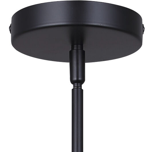 Payton 4 Light 16.88 inch Black Chandelier Ceiling Light