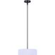 Carmynn LED 16.5 inch Black Chandelier Ceiling Light