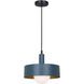 Daylon 1 Light 12.63 inch Pendant