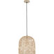 Indy 1 Light 16 inch Natural Pendant Ceiling Light