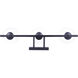 Madison 3 Light 25 inch Black Vanity Light Wall Light