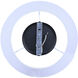 Aspen 1 Light 13.25 inch Black Flush Mount Ceiling Light