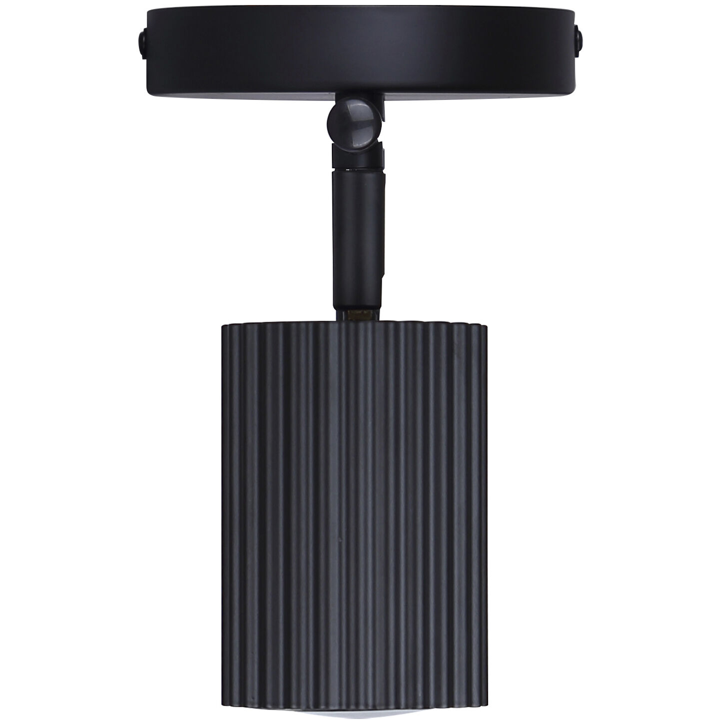 Rexton 2 Light Black Track Lighting Ceiling Light
