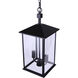 Rossland 2 Light 8.5 inch Matte Black Outdoor Pendant Light