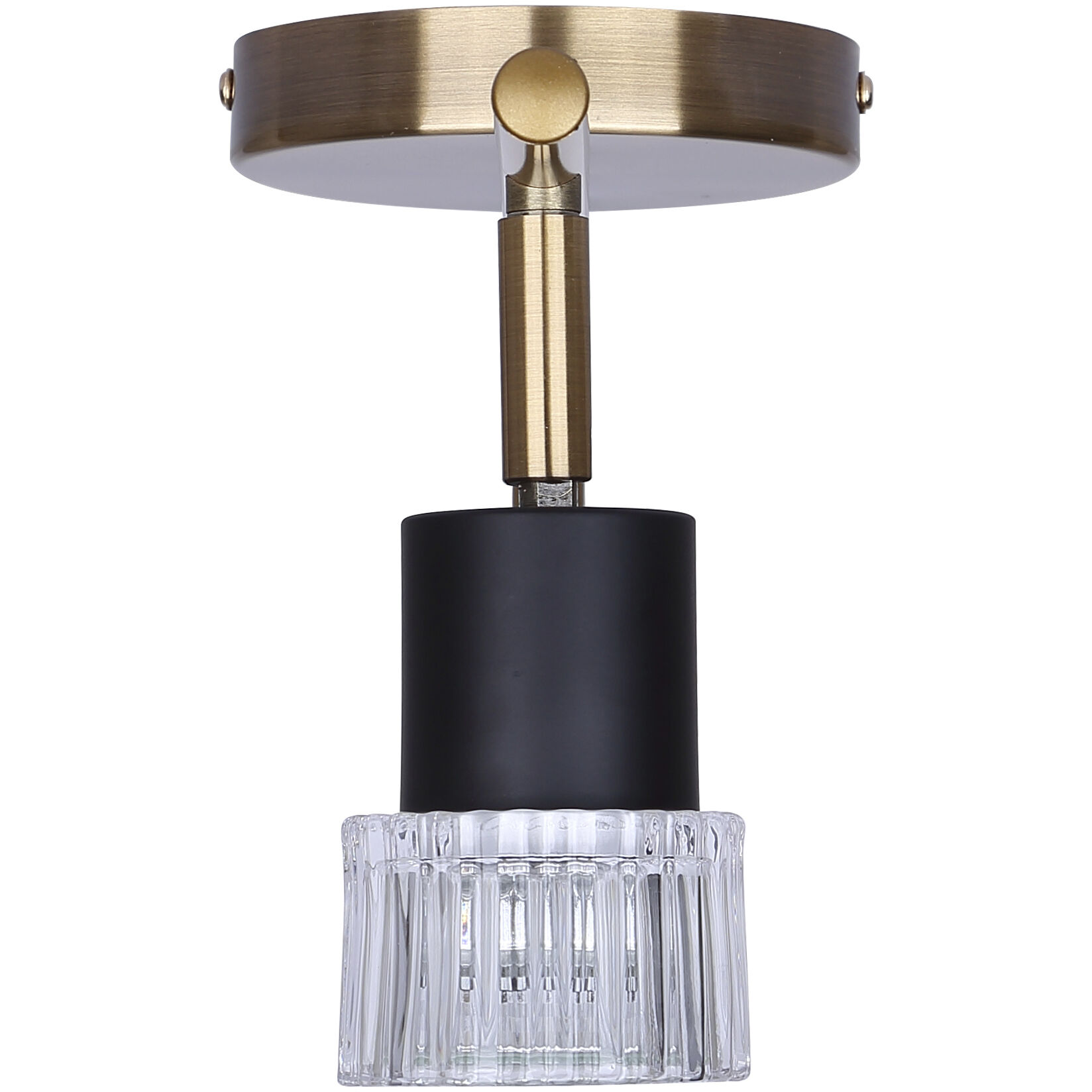 Elsee 2 Light Black/Gold Track Lighting Ceiling Light