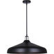 Holland 4 Light 22 inch Black Pendant Ceiling Light