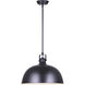 Polo 1 Light 16 inch Black Pendant Lighting Ceiling Light