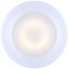 Madison LED 4 inch White Disk Light