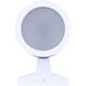 Rexton 2 Light 11.75 inch White Outdoor Wall Lantern