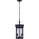 Rossland 2 Light 8.5 inch Matte Black Outdoor Pendant Light