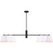 Aspen 2 Light 15.5 inch Black Pendant Ceiling Light