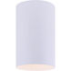 Agna 4 Light 4 inch White Flush Mount Ceiling Light