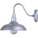 Desi 1 Light 10 inch Distressed Galvanized Outdoor Wall Lantern