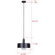 Daylon 1 Light 12.63 inch Matte Black Pendant Ceiling Light