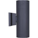 Rexton 2 Light 11.75 inch Black Outdoor Wall Lantern