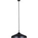 Holland 4 Light 22 inch Black Pendant Ceiling Light