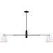 Aspen 2 Light 15.5 inch Black Pendant Ceiling Light