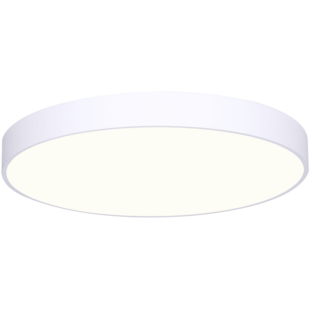 Madison 120V LED 5 inch White Disk Light