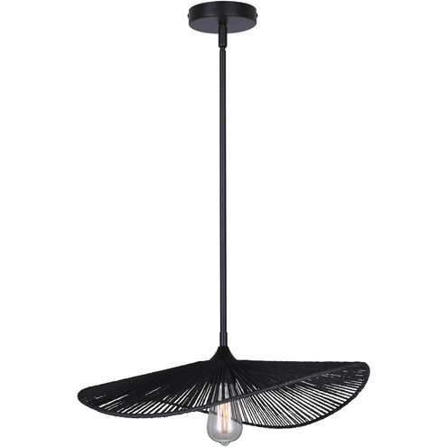Georgia 1 Light 20 inch Black Pendant Ceiling Light
