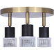 Elsee 3 Light Black/Gold Track Lighting Ceiling Light
