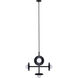 Payton 5 Light 27.5 inch Black Chandelier Ceiling Light