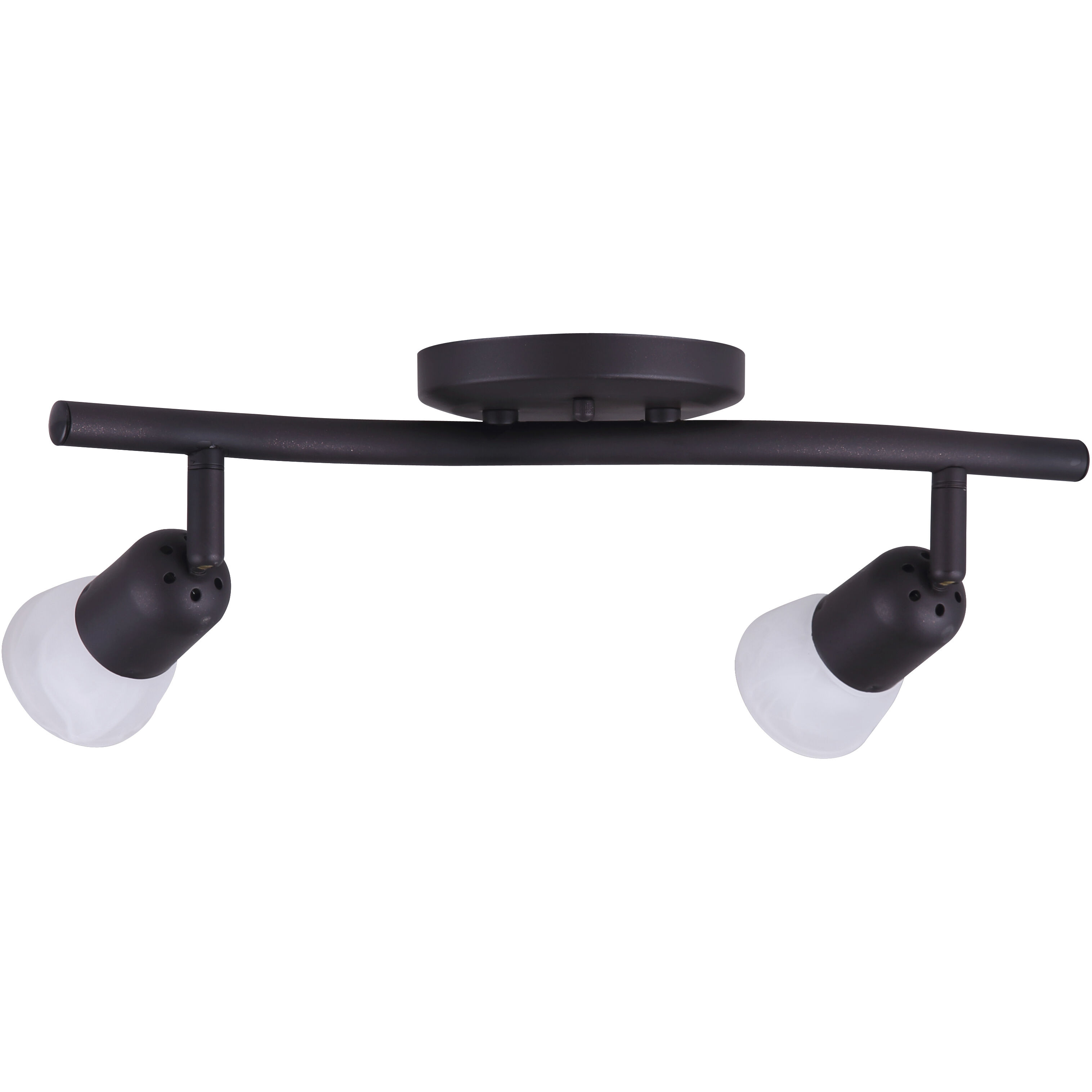 James 2 Light 120 Oil Rubbed Bronze Track Lighting Ceiling Light