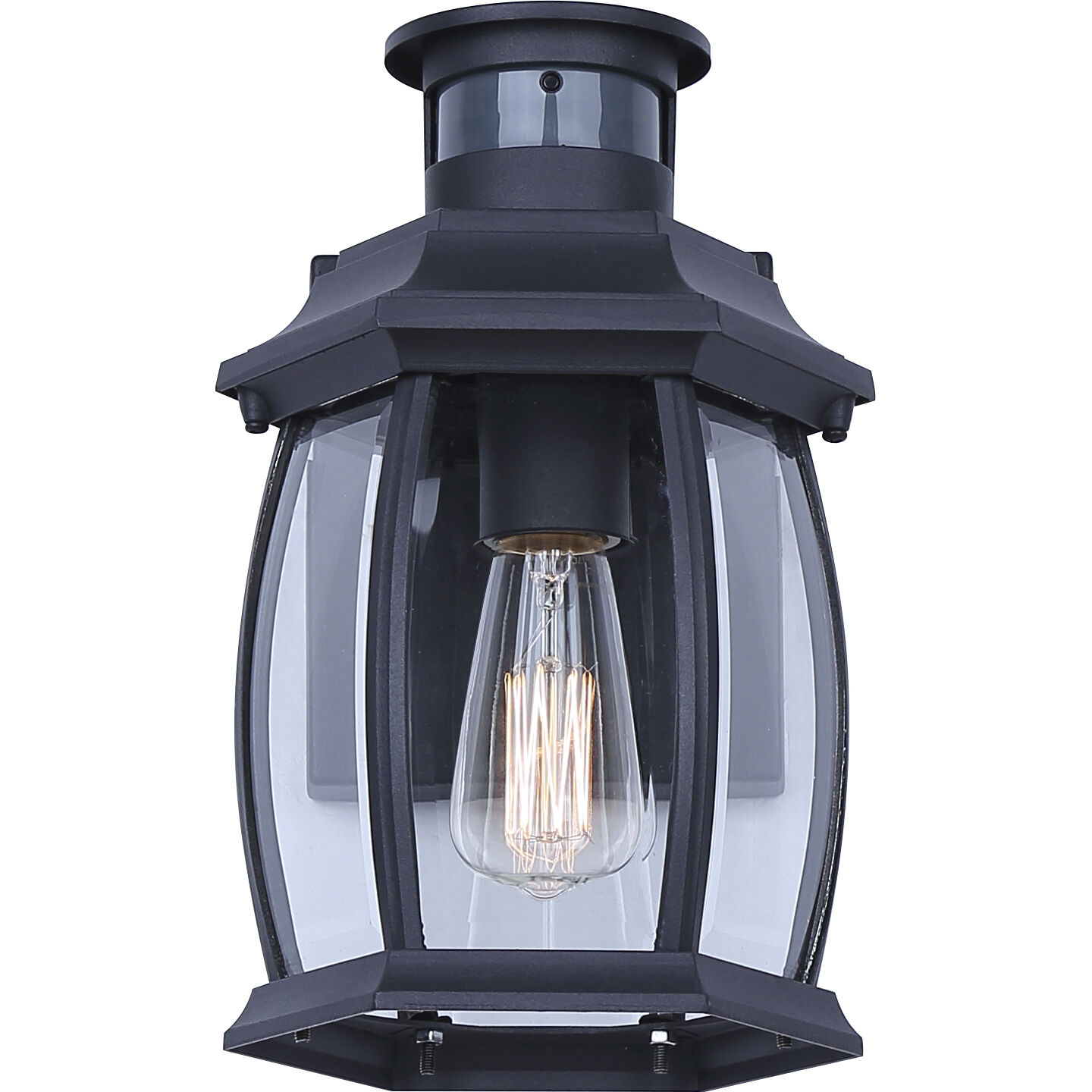 Buckly 1 Light 10.25 inch Black Outdoor Wall Lantern
